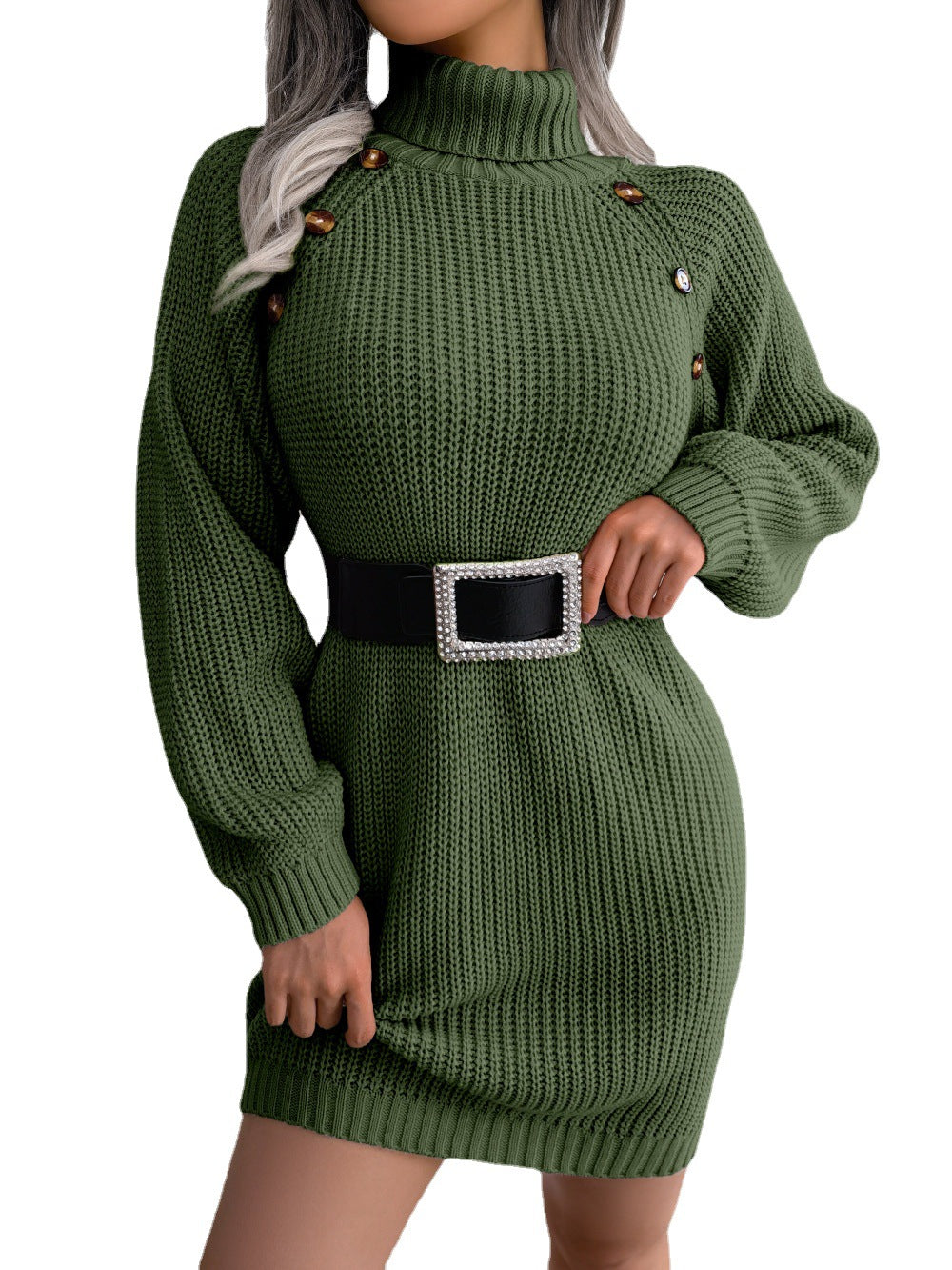 Stand Collar Long Sleeve Women's Winter Sweater Dress